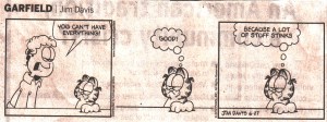 Garfield on stuff